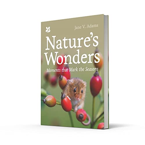 Nature's Wonders: Moments That Mark the Seasons