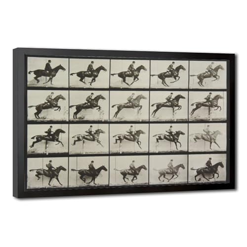 Affiche cheval Muybridge vintage salon toile déco murale cadre