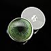 Jade Green Jaguar Sew On Button Glass Doll Eyes for Stuffed Animal Plushie Pair for Art Dolls, Sculptures, Props, Masks, Fursuits, Jewelry Making, Taxidermy, and More (30mm)