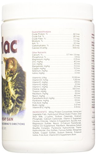 Kenic Kittylac Milk Replacer For Kittens, 12-Ounce #TOP1