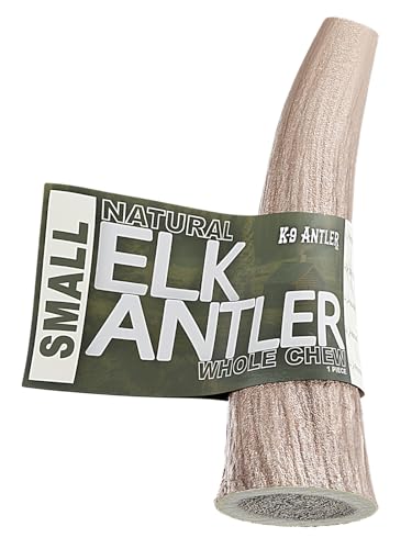 K-9 Antler Co. Elk Antlers for Dogs Small Whole (4-6 Inch) Durable Chew for Aggressive Chewers USA Sourced Naturally Shed & Ethically Harvested