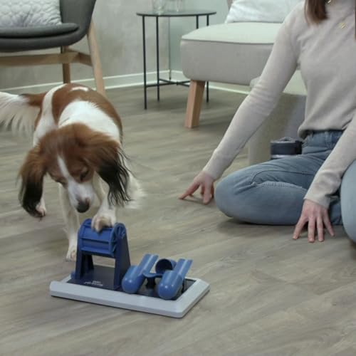 Image of TRIXIE Vario Poker Box 2 Dog Activity Interactive Toy, Level 2 Food Puzzle Game, Brain Teasing Treat Dispenser, IQ and Mental Development Toy for Smart Dogs, Enrichment Toy for Boredom Busting