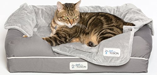PetFusion Ultimate Solid 2,5 'Memory Foam Haustierbett für kleine Hunde und Katzen (25 x 20 x 5,5' orthopädische Sofacouch; grau). Ersatzabdeckungen und Decken sind ebenfalls erhältlich