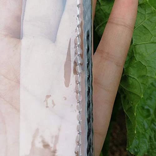 Lona de plástico de PVC con ojales de 0.3 mm para evitar lluvia y frío en marquesinas 4