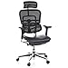 Produktbild hjh OFFICE 652620 Luxus Chefsessel ERGOHUMAN ergonomischer Bürostuhl mit Vollausstattung, Originales Design Leder/Netzstoff Schwarz