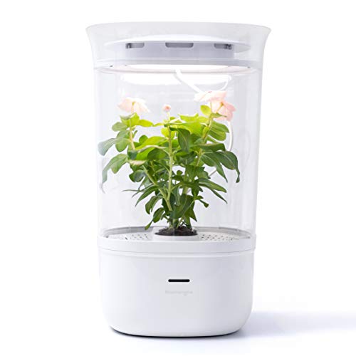 Bloomengine B100KHA Bluetooth Smart Indoor Planter, Pet Plant Grow, Flowering Plants, Interior Plant, Plant Grow LED Light, Gazania, Basil, Begonia, Ornamental Gift, Interior Gift