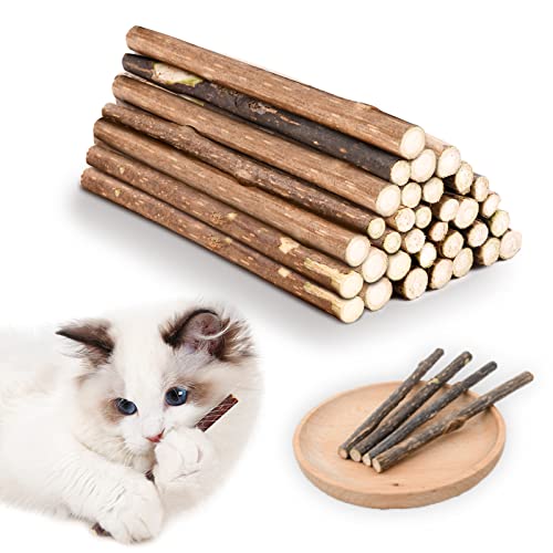 OSDUE 32 Stück Katzenminze Sticks, Matatabi-Kausticks, Katzenminze Spielzeug Katzen Kauhölzer Sticks für Katzen Zahnpflege & Gegen Mundgeruch Natürlich Sicher Katzensticks Kausticks Set