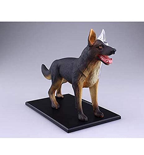 LBYLYH Modelos Anat�micos Animales, Puzzle Tres Dimensional 4D Vision Discotecci�n Animal N � 18 Modelo de Perro para la Escuela