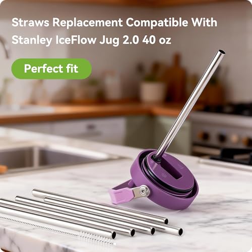 Image of Metal Straws for Stanley IceFlow Jug 40 oz 2.0 Flip Straw Lid Jug, Stainless Steel Replacement Straws for Ice Flow 40oz Jugs,7mm & 9.4mm Size Options-Check Numbers on Lid Before Order(9.4mm)