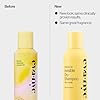 Eva NYC Invisible Dry Shampoo Spray - Oil-Absorbing, Removes Odor & No White Cast - Freshen Up Dry Shampoo For Women - For Light, Dark + Oily Hair - Warm Vanilla Scent - 5.3 oz