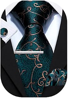 Barry.Wang Mens Solid Paisley Silk Tie Jacquard Necktie 4PCS Set Formal Wedding