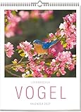 Literarischer Vogel-Kalender 2027 – Wochenkalender mit Zitaten & Vogel-Fotografien· Federleichte Inspiration für Naturfreunde · Geschenkidee für Vogelliebhaber:innen