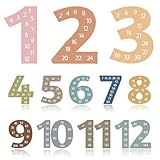 12 PCS Large Math Poster from 1 to 12 Numbers Multiplication Table Poster for Elementary School Kid Family Classroom Educational Supplies.(Boho Dark)