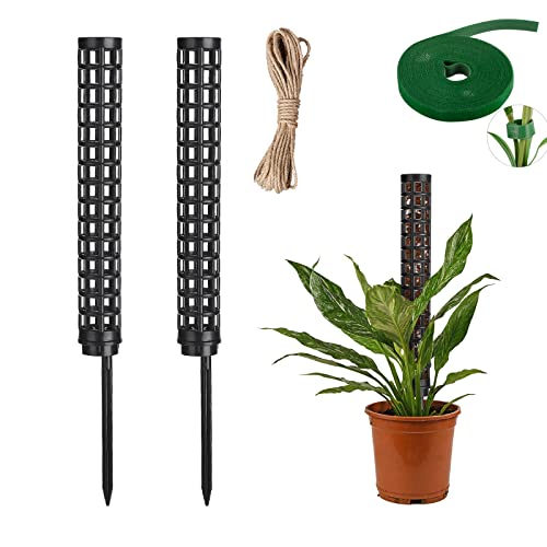 Flueyer Lot de 2 poteaux en plastique pour plantes grimpantes avec 1 rouleau de ficelle et ruban adhésif pour plantes d'intérieur Cover
