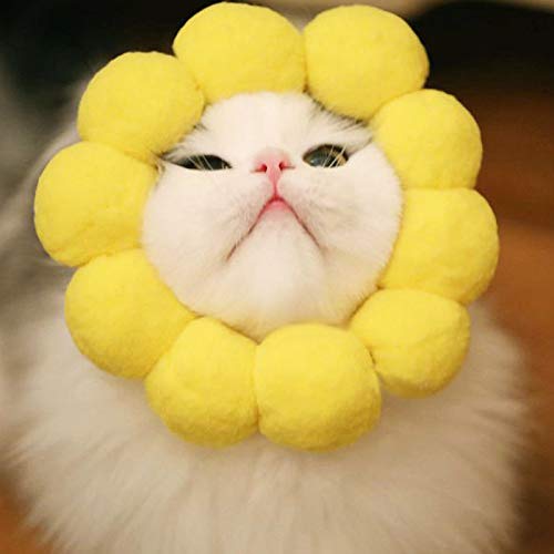 Amazon | MIGOGO 猫用コスプレ ひまわり ペット帽子 かぶりもの 帽子