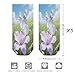 VstaDank Butterflies Fall on Flowers Ankle Socks 5 Pairs Fashion Invisible Low Cut Sock for Adult Casual Short Sock Soft Cozy No Show Socks