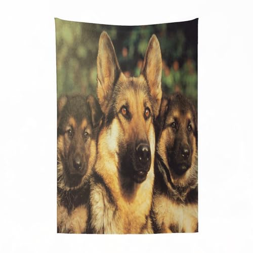 EYLOZS Bedding Cama Mantas para Cama, Acogedora, Suave, Ligera, Cálida y Transpirable Manta para Silla y Sofá,Animal Adulto Pastor alemán y Cachorro de Perro doméstico,100x130cm
