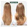 Biolage Volume Boost Conditioner - Weightless Moisture, Shine & Volume, Detangles Fine Hair, Soy Protein & Polymers, Vegan & Paraben-Free
