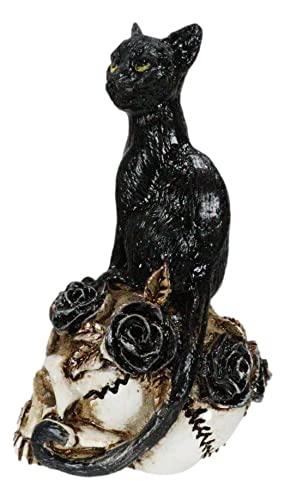 Amazon.co.jp: Ebros 猫 魔女の時間 魔術 黒猫 神秘的な猫 頭蓋骨に