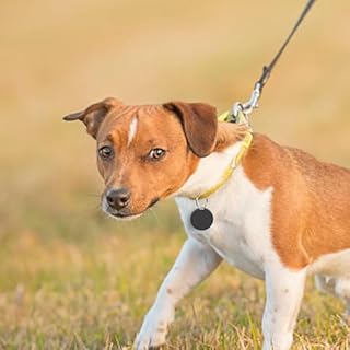 Localizzatore Gps Per Bambini, Dispositivo Localizzatore GPS, Tracciamento Chiave, Key Finder Locator In Controllo App, Monitoraggio In Reale, Per Portafoglio, Bambini