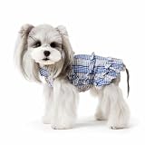 Generic Hübsches Baumwollkleid für Hunde mit Floralem Design Und Spitzenrand für Kleine Bis Mittlere Hunde für Fotoaufnahmen Und Ausflüge, XL