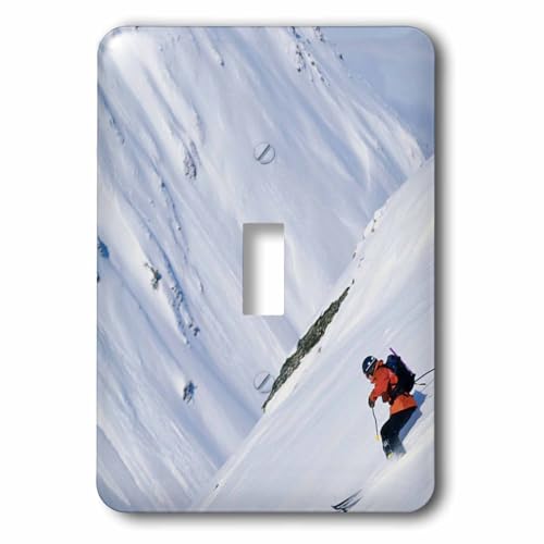 Interrupteur à baïonnette 3dRose LSP_33250_1 pour rénover une déco montagne