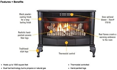 ProCom Vent-Free Dual Fuel Stove - 25,000 BTU, Model QD250T