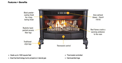 ProCom Vent-Free Dual Fuel Stove - 25,000 BTU, Model QD250T
