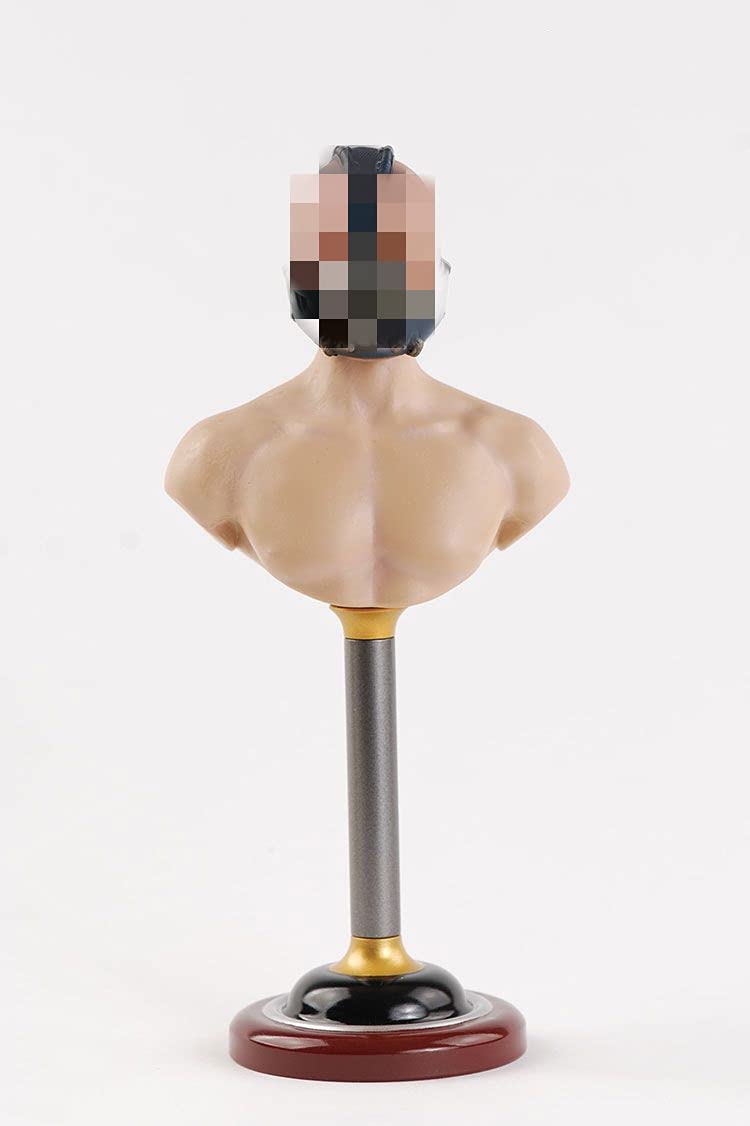 Amazon.co.jp: 【Tbmodel 】ACGTOYS 1/6 フィギュア 男性 バスト
