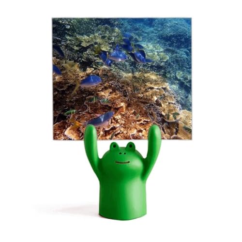 Porte-mémo grenouille et science naturelle, une idée cadeau ludique