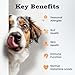 Dog Allergy Chews 200 Treats, Allergy & Itch Skin Relief Omega 3 Fish Oil Probiotics for Seasonal All Issues Allergies Skin & Hair, Gut, Immune Support-All Ages & Sizes Dogs Made in USA Chicken Flavor
