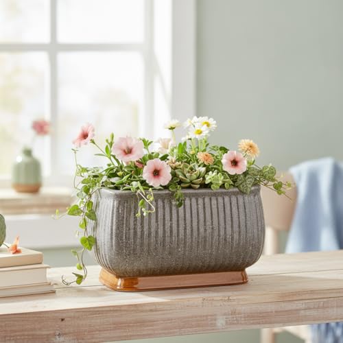 Image of Xtore Striking Textured Ceramic Bonsai Planter Pot for Indoor & Tabletop Decor | Ribbed Grey Finish with Elevated Modern Plant Styling (Pack of 1, Planter Only)