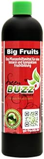Big Fruits Standard 250ml