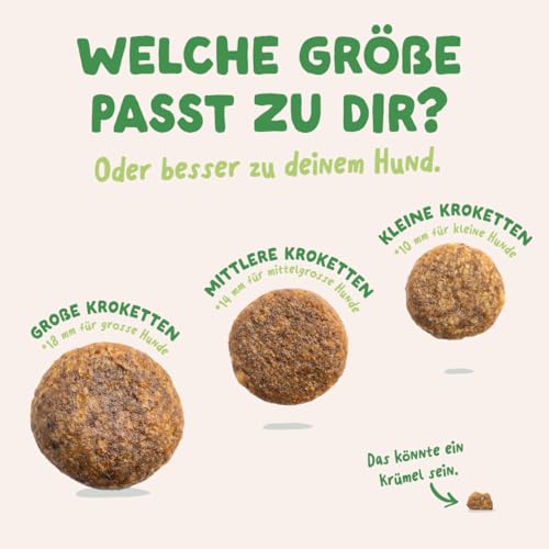 Edgard & Cooper Hundefutter, Trockenfutter für Hunde, (Lamm, 2.5kg), Getreidefrei, natürliche Zutaten und frisches Fleisch, voller essentieller Aminosäuren