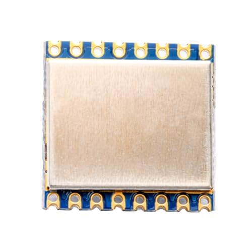 Yarryuter Módulo Lora de Medición de Rango de 2,4 GHz