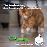 Catstages Orkakat Wiggle Worm - Katzenspielzeug mit Katzenminze - zum Kauen & für die Zahnpflege