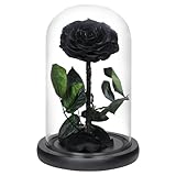 Livoccur Forever Black Rose and Preserved Rose in Glass Dome, Made from Real Preserved Flowers, Beauty and The Beast Rose, Red Roses Never Withered Gift for Her, Valentine's, Mother's Day, Birthday