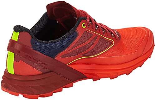 DYNAFIT Alpine, Scarpe Running Uomo, Red