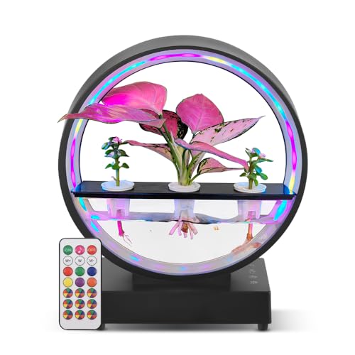 Hanzete Water Feature Indoor with BT Speaker White Noise LED Ring Lights Tabletop Ornament Remote Control Full Spectrum Hydroponics Waterscape Decorative Lights for Living Room/Bedroom/Home Office