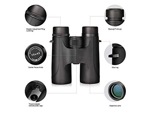 Télescope binoculaire 10x42 haute puissance avec optique lumineuse net