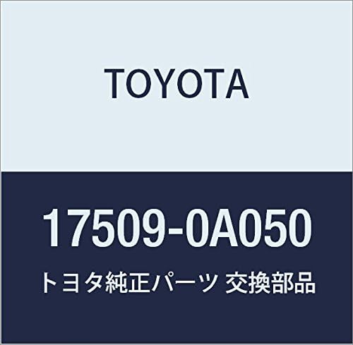 Toyota Genuine Parts - Support Sub-Assy, Ex (17509-0A050)
