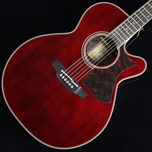 Amazon | Takamine DMP50S WR エレアコギター 島村楽器 x Takamine