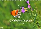 VIELFALT - Mit über 25.000 verschiedenen Kalendern bietet der CALVENDO Verlag für jeden Geschmack das richtige Produkt. Zudem sind die Kalender meist in den Formaten DIN A5, DIN A4, DIN A3 sowie DIN A2 verfügbar. Der ideale Kalender für Ihr Wohnzimmer, Schlafzimmer, Küche, Esszimmer sowie für Kinderzimmer.