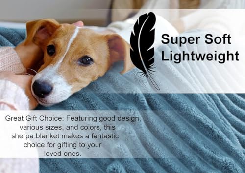 Image of BSB HOME Pencil Pattern Flannel Fleece Sherpa Blanket 220 X 230 Cm, Soft, Plush, Fluffy Season /Ac and Mild Winter Reversible Blanket - Double Bed (Colour- Aqua, Weight - 2.2 Kg), 300 TC