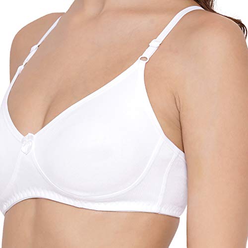 Image of Lyra Women's Cotton Non Padded Wire Free T Shirt Bra