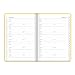 Letts Pastel A6 Address Book, White Paper, 192 Pages, 5.75 x 4.125 x 0.375 Inches, Lemon (B090033)