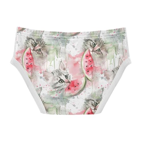 visesunny Boys Cotton Underwear Watercolor Watermelon Cat Printed Toddler Soft Training Briefs Size 2T-8Y for Kids2