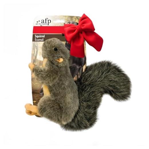 All for Paws Pet Squirrel Plush Toys, Dog Squeaky Toy Stuffed Animal Toy, Large