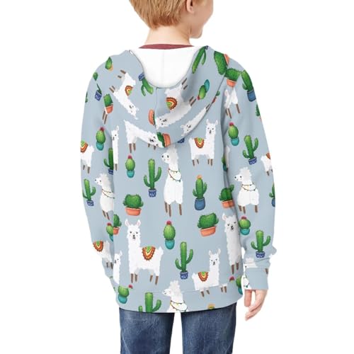 Image of Unisex Zipper Sweatshirt Boys Girls Hooded with 2 Pocket Pullover Hoodies for 6-16Y Kids