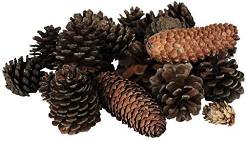 Vita Domi Natural Brown Premium Bag of Pine Cones Assortment 120 Pieces Per Bag (Assorted Sizes)
